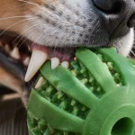 PetPetPick Dog Dental Chew Ball 5-Pack, 3 Sizes