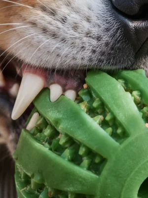 dog-chew-ball14