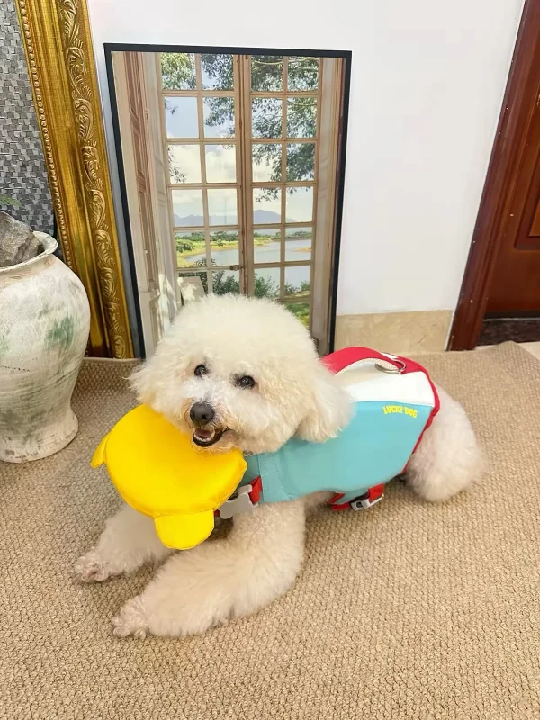 PetPetPick Dog Life Jacket with Rescue Handle