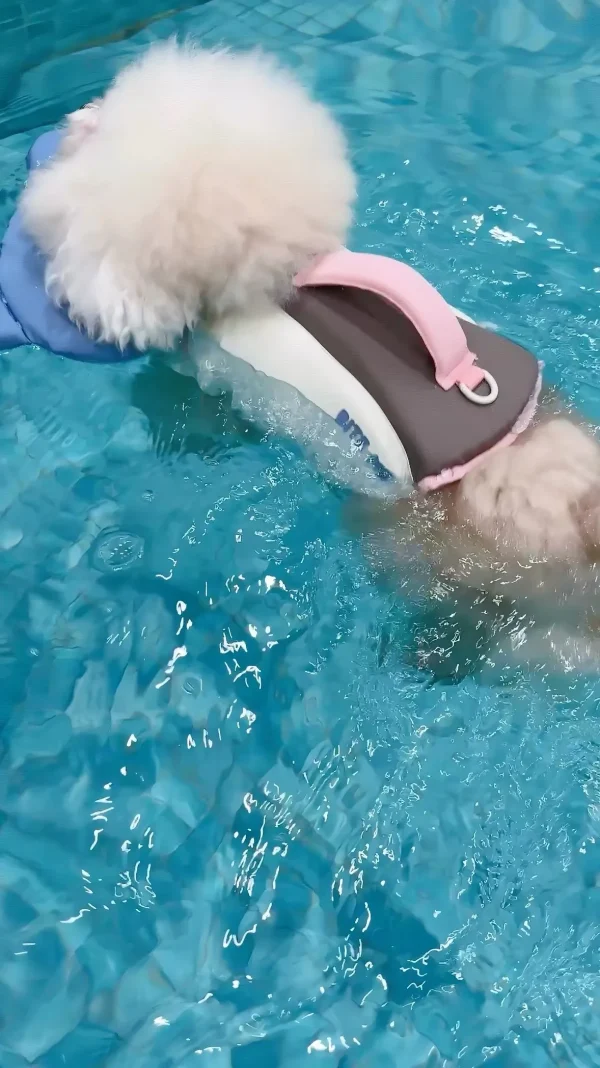 PetPetPick Dog Life Jacket with Rescue Handle